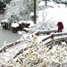 珲春市好玩的地方